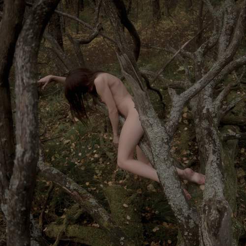 Фотография #11463724