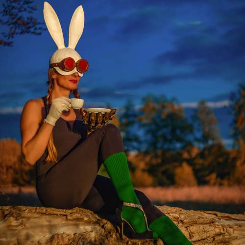 Photo #11463944