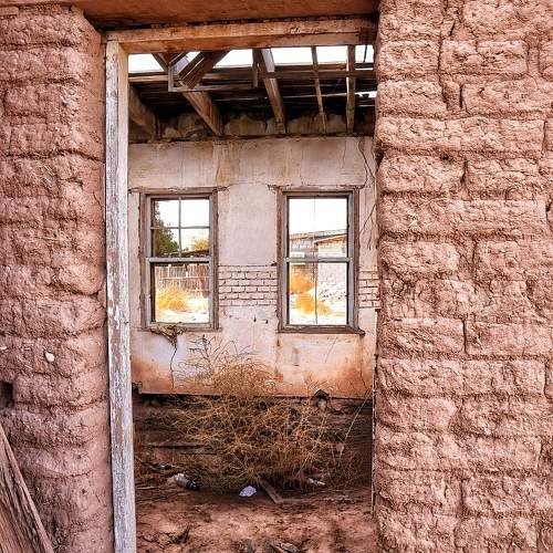 Photo #11463995