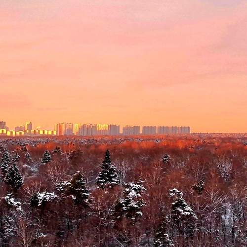 Photo #11464076