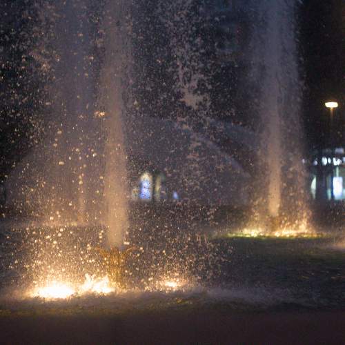 Photo #11464369
