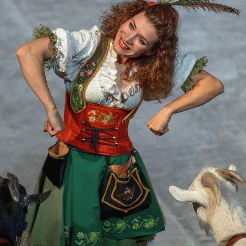 Photo #11464520