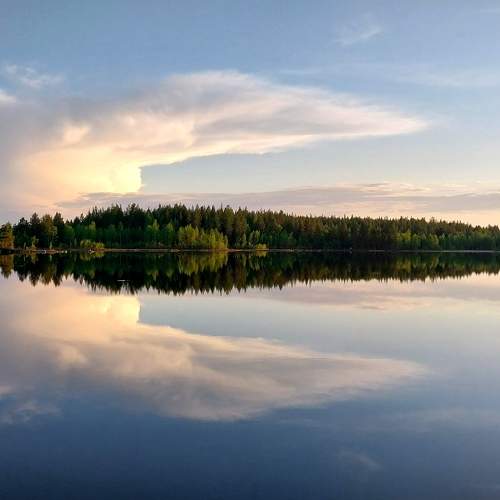 Photo #11464620