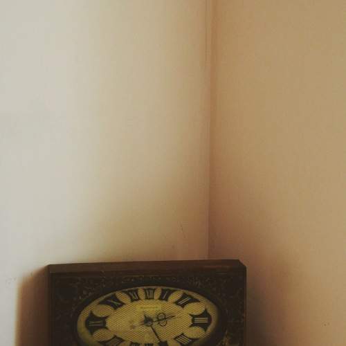 Photo #11464625