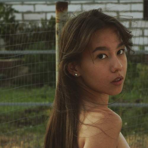 Photo #11464626