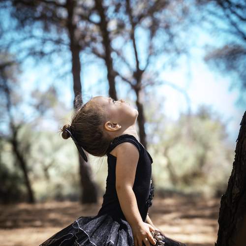Photo #11464699