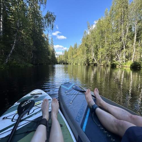 Photo #11464728