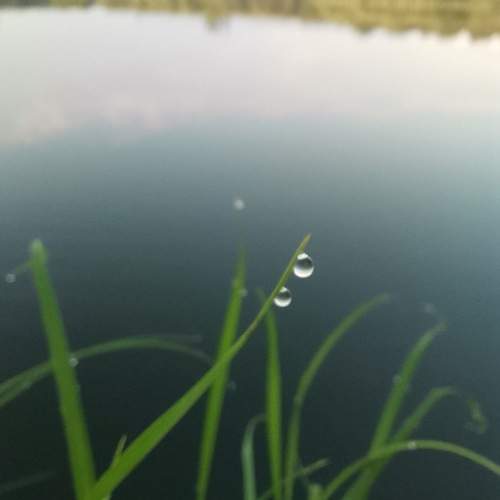 Photo #11464821