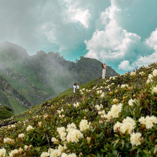 Photo #11465008