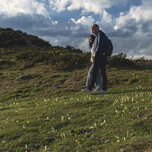 Photo #11465015