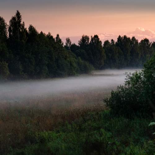 Photo #11465041