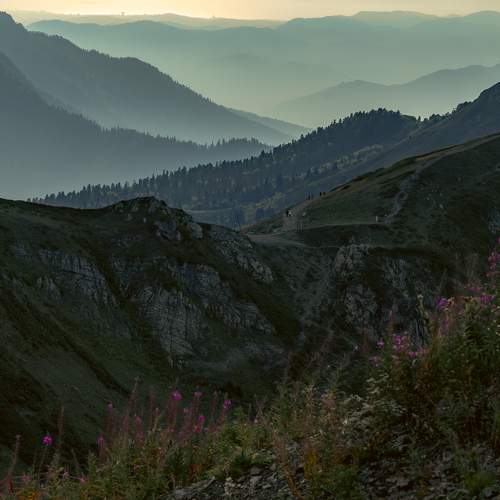 Photo #11465043