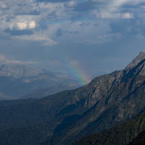 Photo #11465044