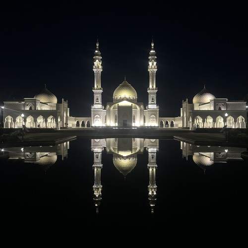 Photo #11465085