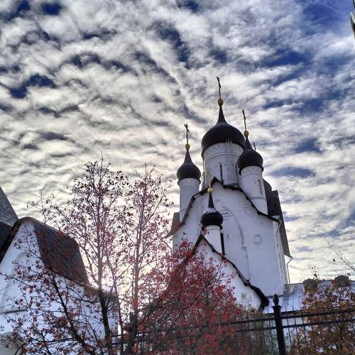 Photo #11465107
