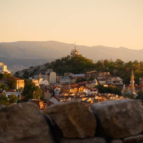 Photo #11465113