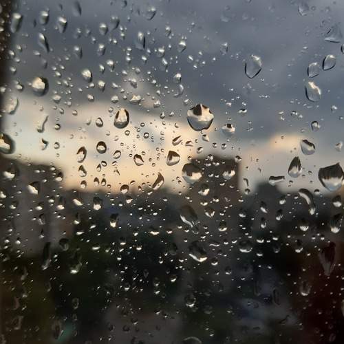 Photo #11465157