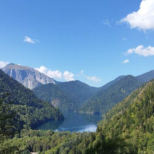 Photo #11465263