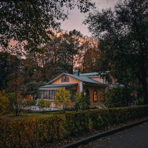Photo #11465326