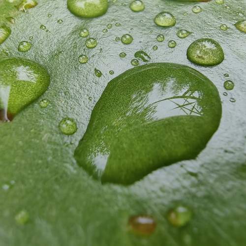 Photo #11465549