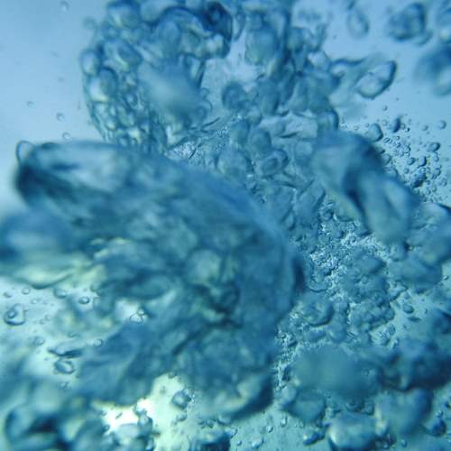 Photo #11465550