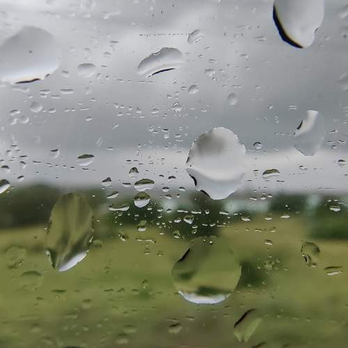 Photo #11465551