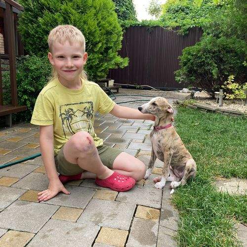 Photo #11465564