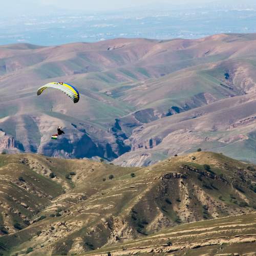 Photo #11465570