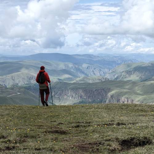Photo #11465757