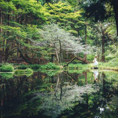 Photo #11465950