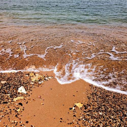 Photo #11466001