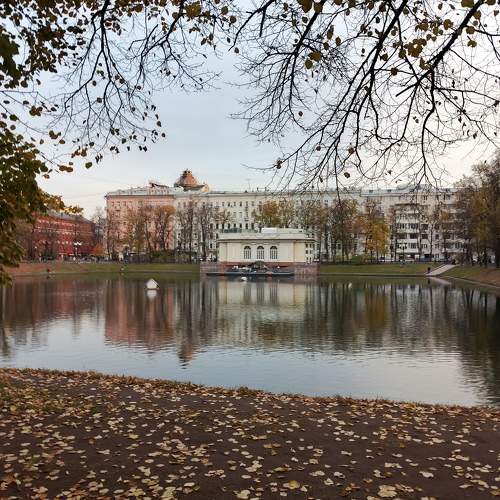 Photo #11466085
