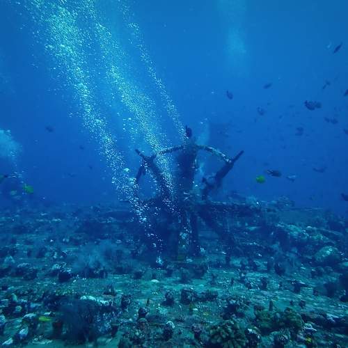 Photo #11466117