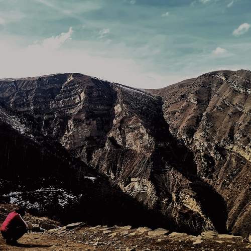 Photo #11466198