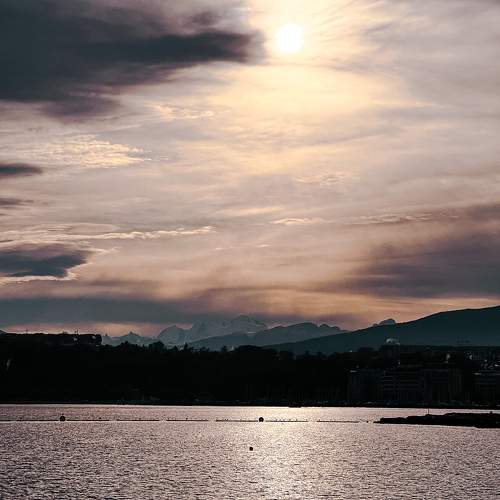 Photo #11466662