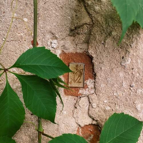 Photo #11466685