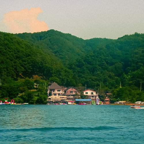 Photo #11466754