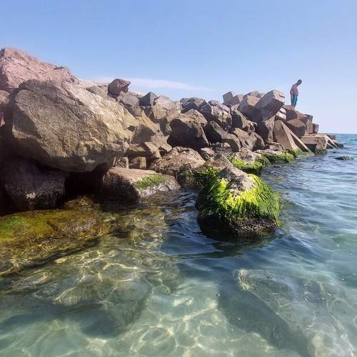 Photo #11466868