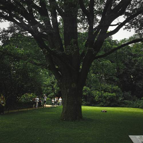 Photo #11466959