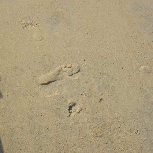 Photo #11467366