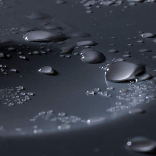 Photo #11467756