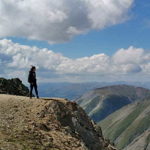 Photo #11468216