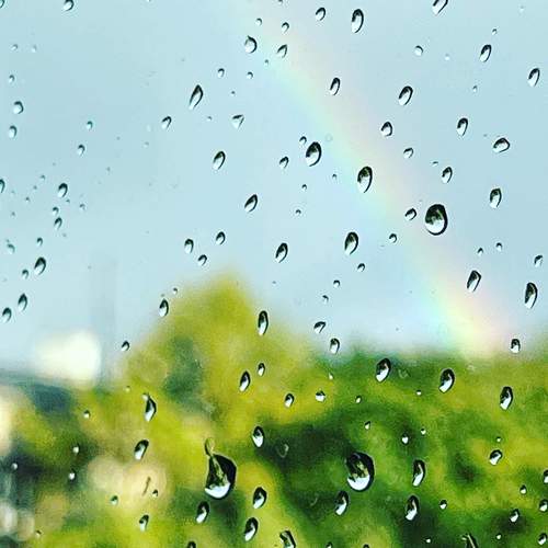 Photo #11468511
