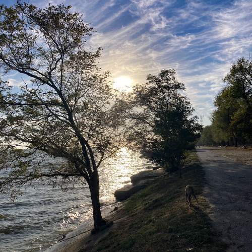Photo #11468674