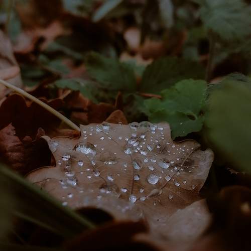 Photo #11468851