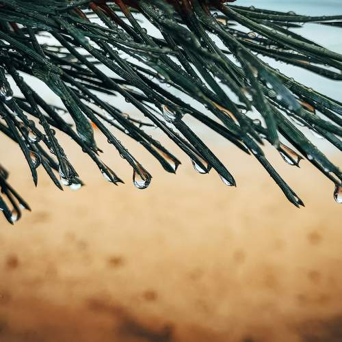 Photo #11469173