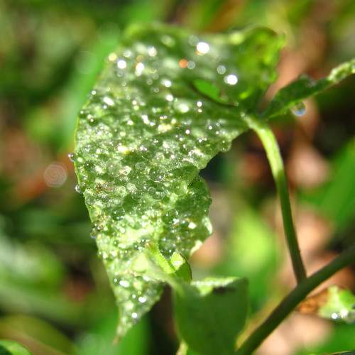 Photo #11469319