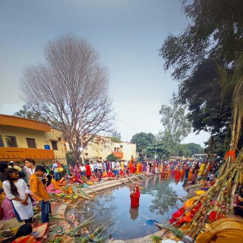 Photo #11469369