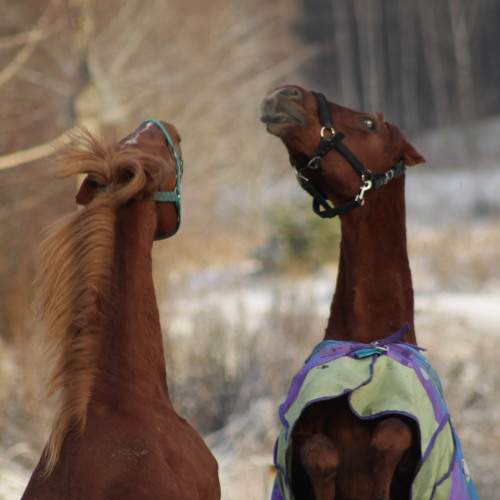 Photo #11469925