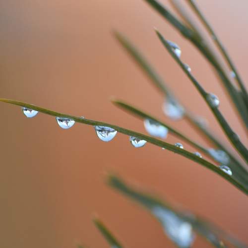 Photo #11470309